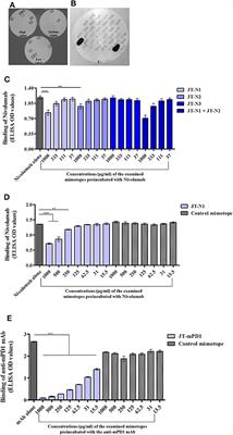 A New Strategy Toward B Cell-Based Cancer Vaccines by Active Immunization With Mimotopes of Immune Checkpoint Inhibitors